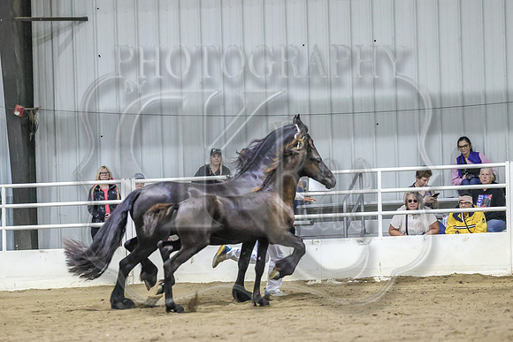 BN5A3618