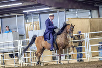 SahibaSun-2524