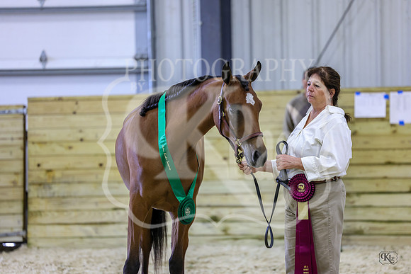 KRaeSHNC-0873