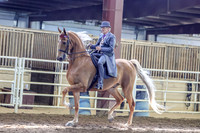 SahibaSun-1150