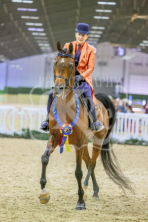 BN5A7329