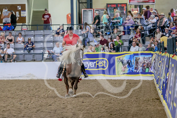 BN5A3802