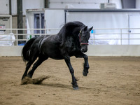 sssFri-3862