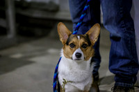 Candids-3332
