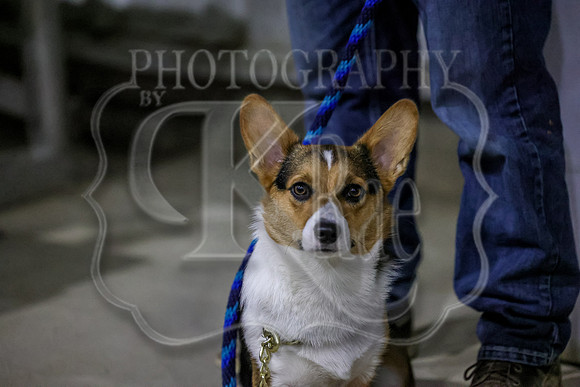 Candids-3332