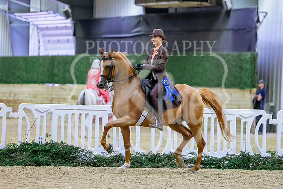 BN5A3847