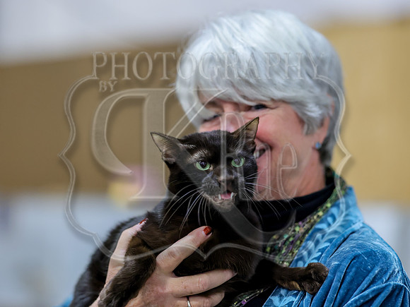 CatShowSat-0756