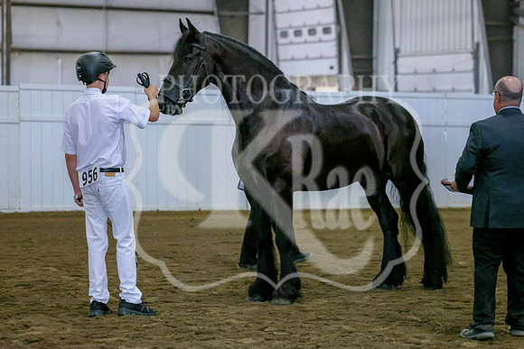 BN5A2176