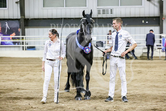 BN5A2578