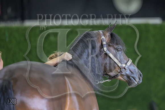 KRaeR13w-0256
