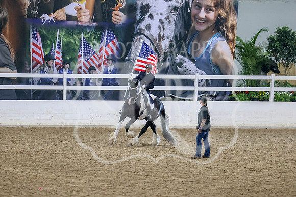BN5A0802