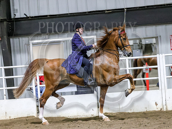 sssSun-5792