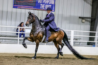 sss2-Sa4-0987