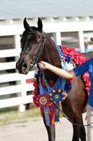 Arabians