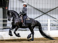 sssSun-4339