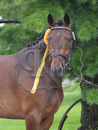 krae-1341