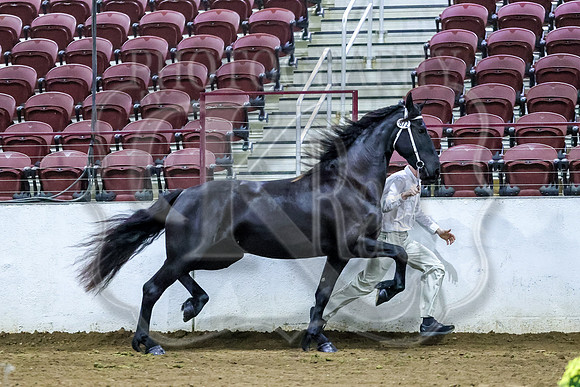 BN5A2580