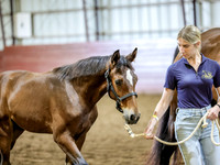 krae-2692