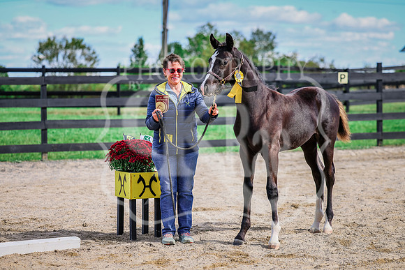 BN5A7710