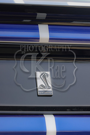 BN5A0109
