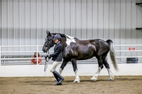 sss24-0996