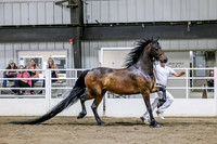 sss24-1679