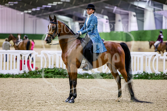 BN5A0613