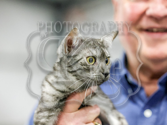 CatShowSun-0091