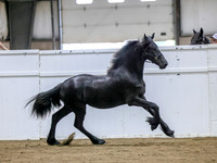 sssFri-1596