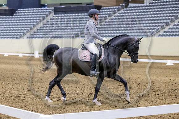 LgcySu-2709