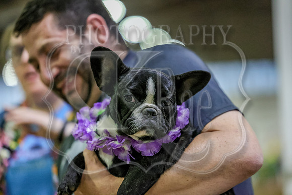 SahibaSa-9471