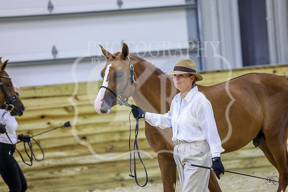KRaeSHNC-0645