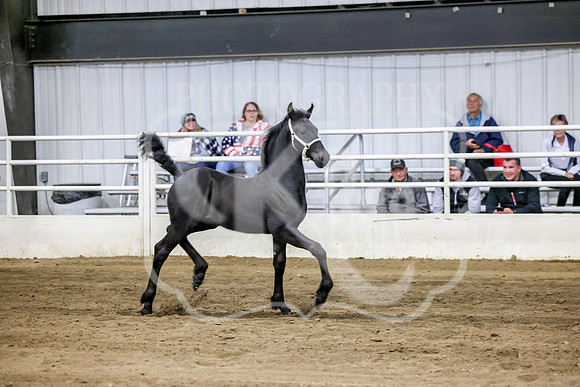 BN5A1513