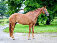 krae-1381