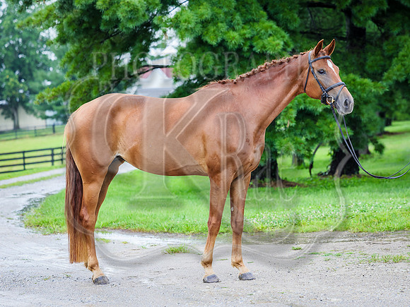 krae-1381