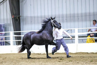 BN5A5967