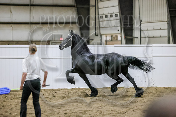 sss24-1091