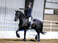 sssSun-5311