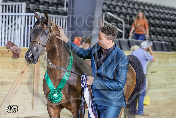KRaeR13f-1162