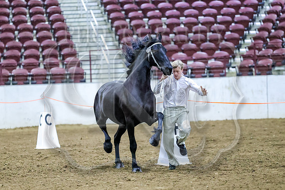 BN5A2639