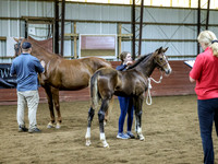 Filly2