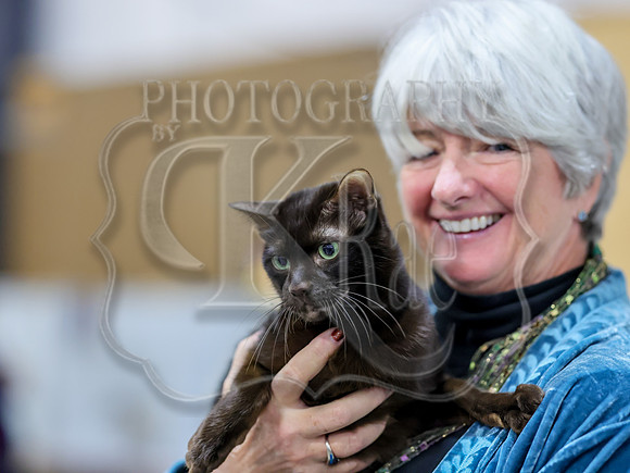CatShowSat-0751