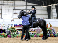 sssSun-4174