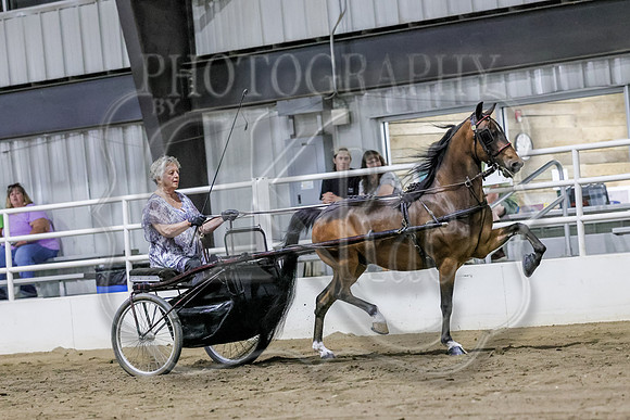 sssSun-1111