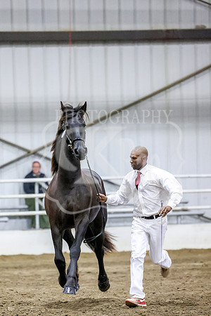 BN5A0028
