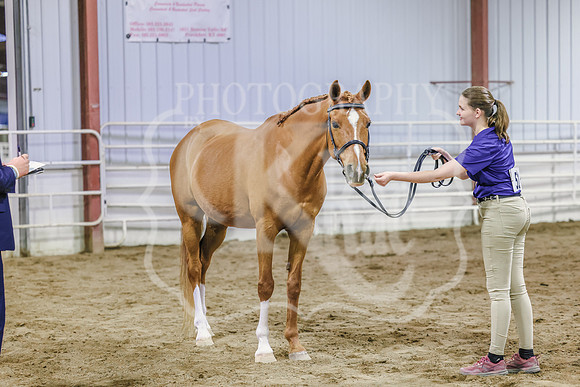 BN5A7017