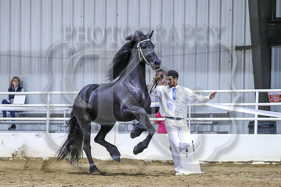 BN5A7286