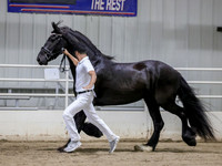 sssFri-1567