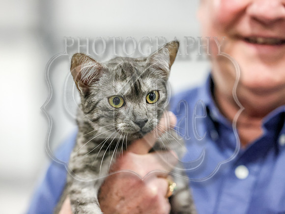 CatShowSun-0092
