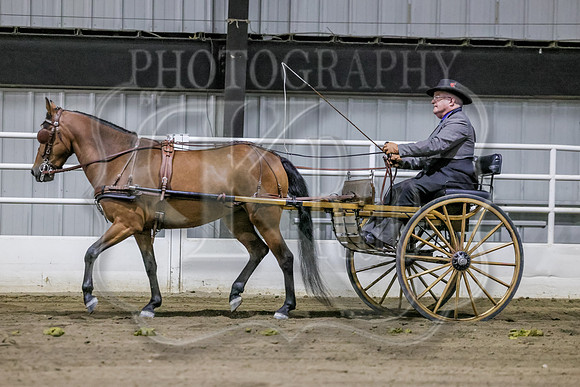 sssSun-3368
